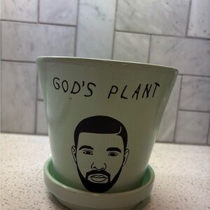 Drake Plant Pot